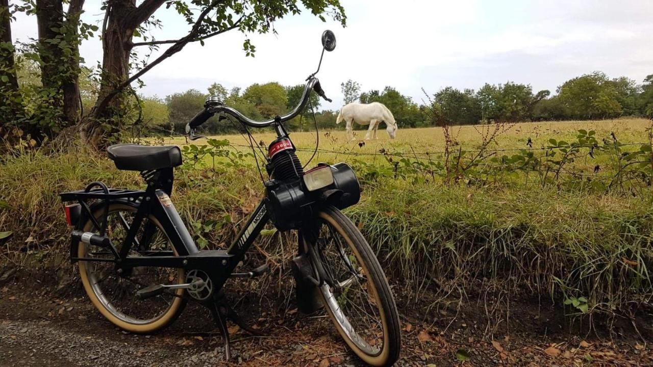 Gites Les Pourquoi Pas - Residence De Tourisme Dsv バイユー エクステリア 写真